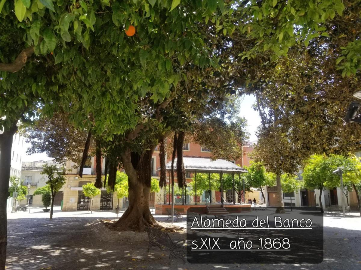 Jerez Centro Historico Apartman Jerez de la Frontera Kültér fotó